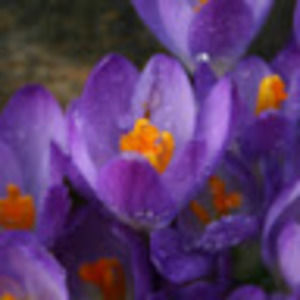 Meet your Posher, Luke